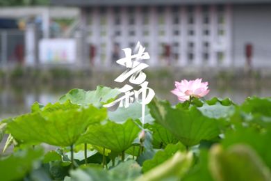 芒种