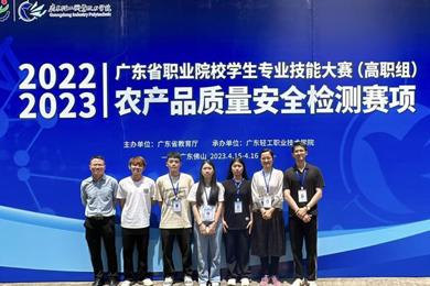 载誉而归 | 岭南学子在广东省高职院校技能大赛中获佳绩
