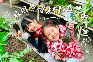 喜报 | 岭南基金会“广州城市小菜园工程食农盒子项目”入选联合国粮食系统转型实践案例库